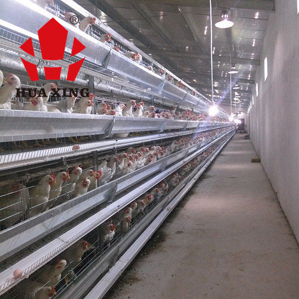 Κατασκευαστής κλουβιών εξοπλισμών καλλιέργειας κλουβί κοτόπουλου στρώματος 90 - 160 καυτό γαλβανισμένο ωοτόκων ορνίθων πουλιών