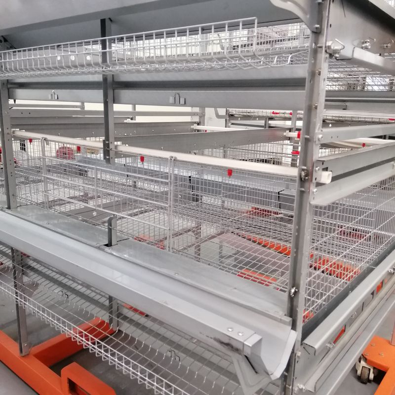 Κλουβί παπιών εργοστασίων της Κίνας που βάζει τους εξοπλισμούς καλλιέργειας παπιών 3 κλουβιά πουλερικών παπιών στρώματος σειρών