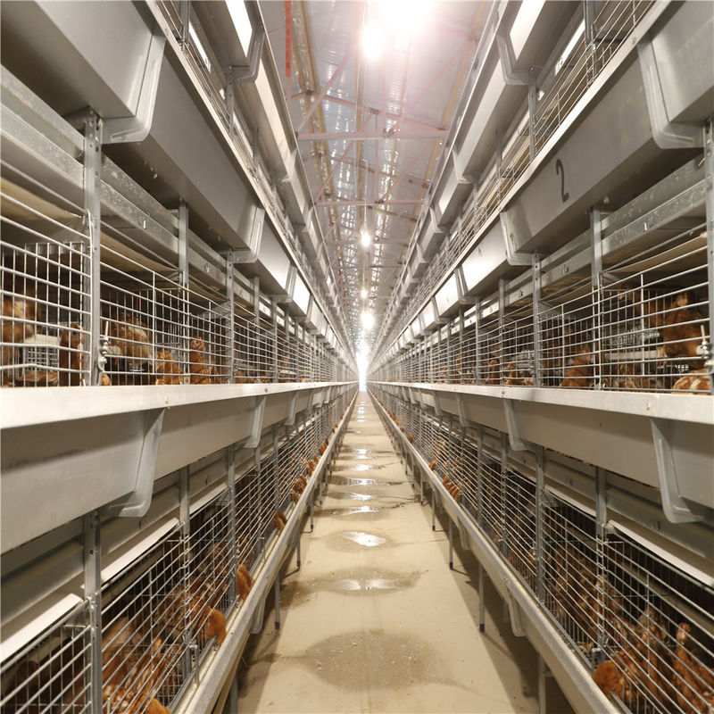 Κλουβί κοτόπουλου αναπαραγωγής κλουβιών νεοσσών ημέρας μπαταριών για το νεοσσό στρώματος