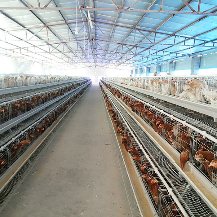 Ένα κλουβί στρώματος κοτόπουλου κοτόπουλου στρώματος συστημάτων κλουβιών μπαταριών τύπων για την πώληση