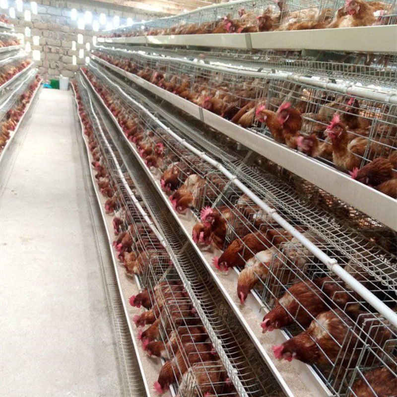 εμπορικό κλουβί πουλερικών κοτόπουλου κλουβιών πουλερικών μπαταριών κοτόπουλου στρώματος 4tiers 128/160birds