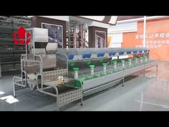 Commercial Rabbit Breeding Cages 24 Cells Battery Operated